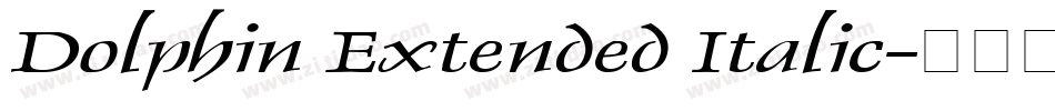 Dolphin Extended Italic字体转换